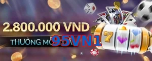 95VN1
