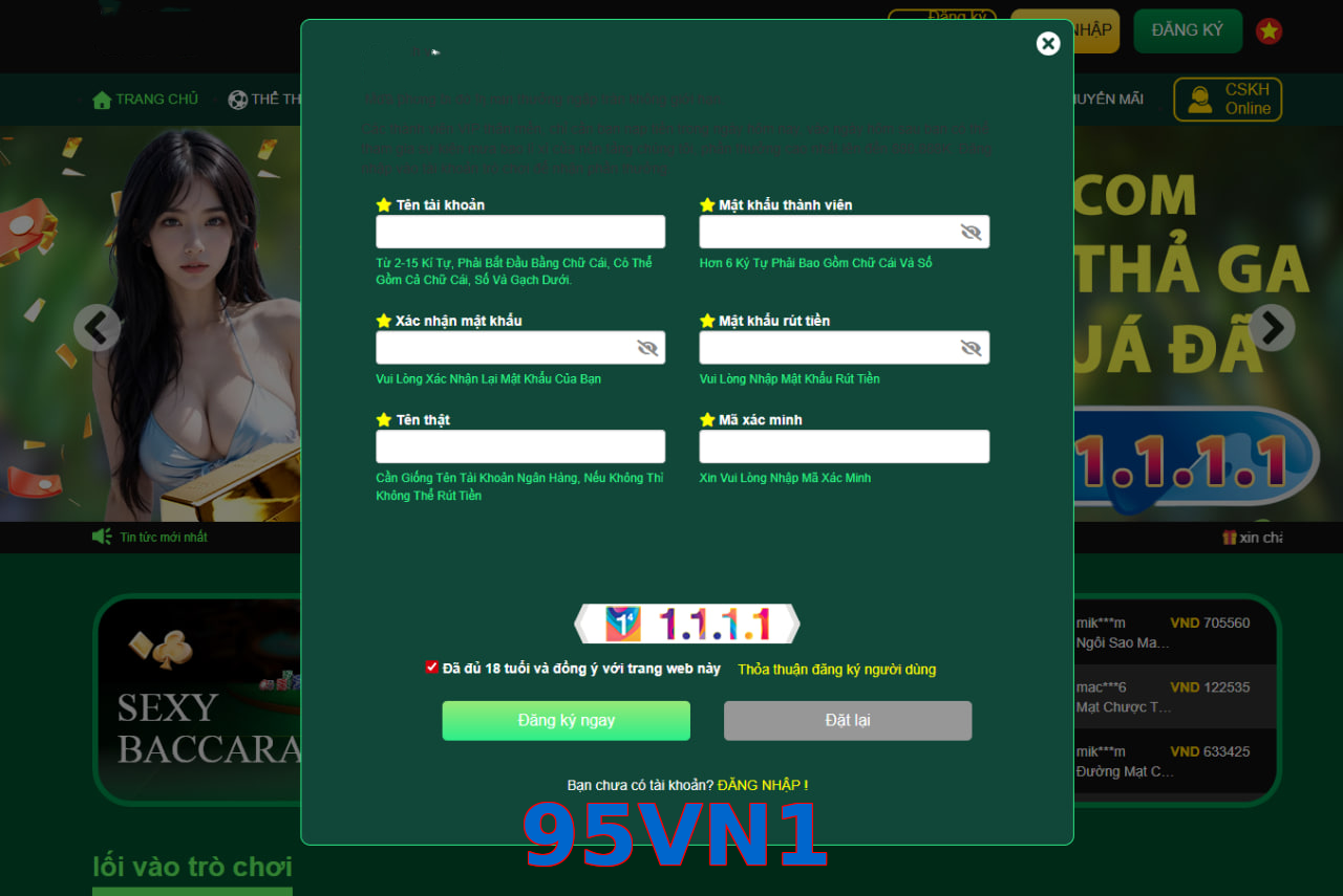 95VN1